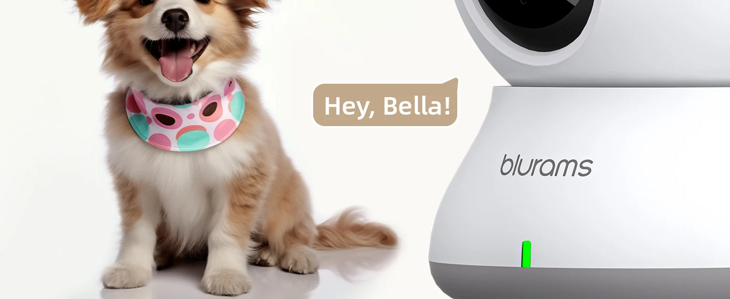 Blurams Baby Monitor 2K HD Security Camera with Motion Detection Two Way Audio and Night Vision