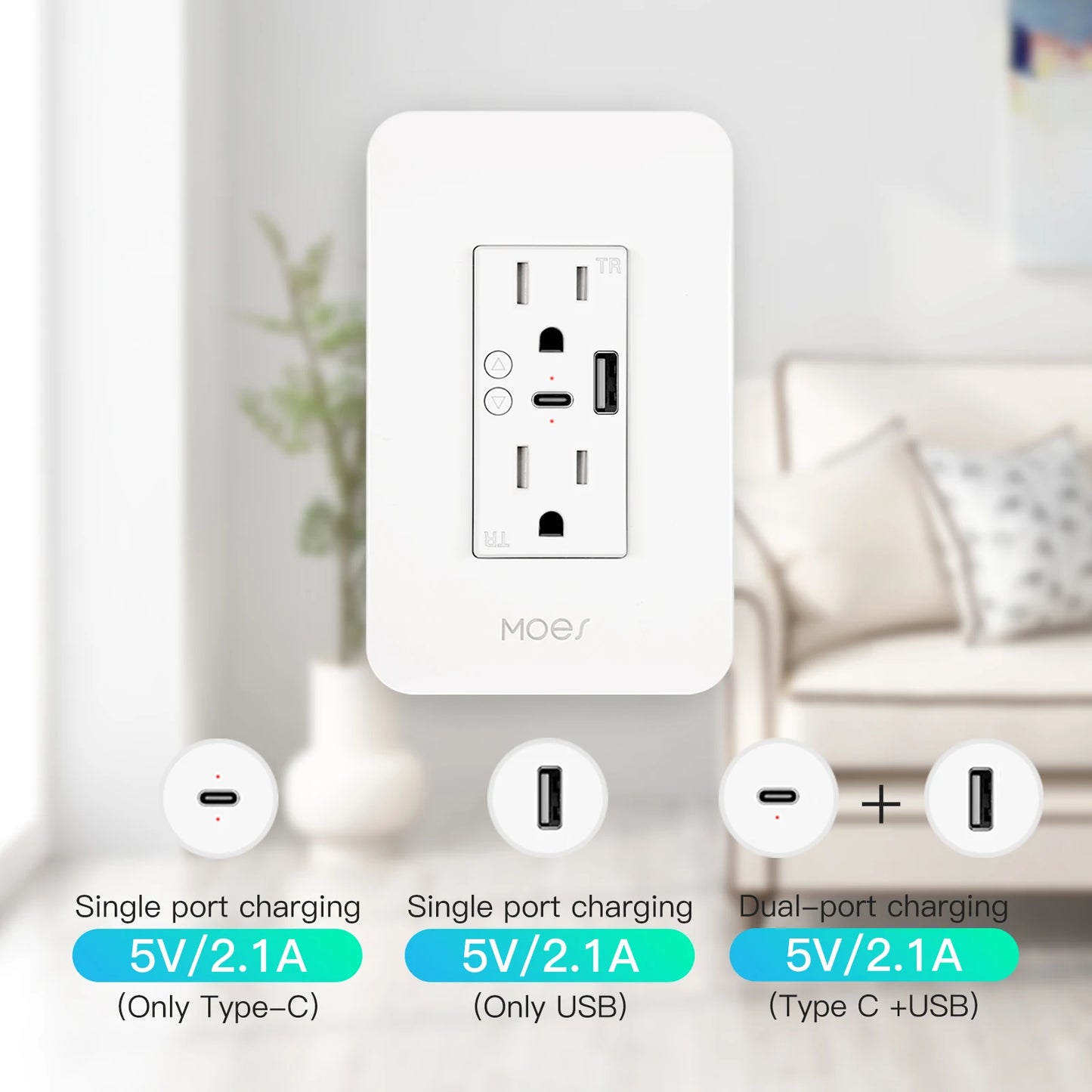WiFi Smart Wall Socket with USB and Type C
