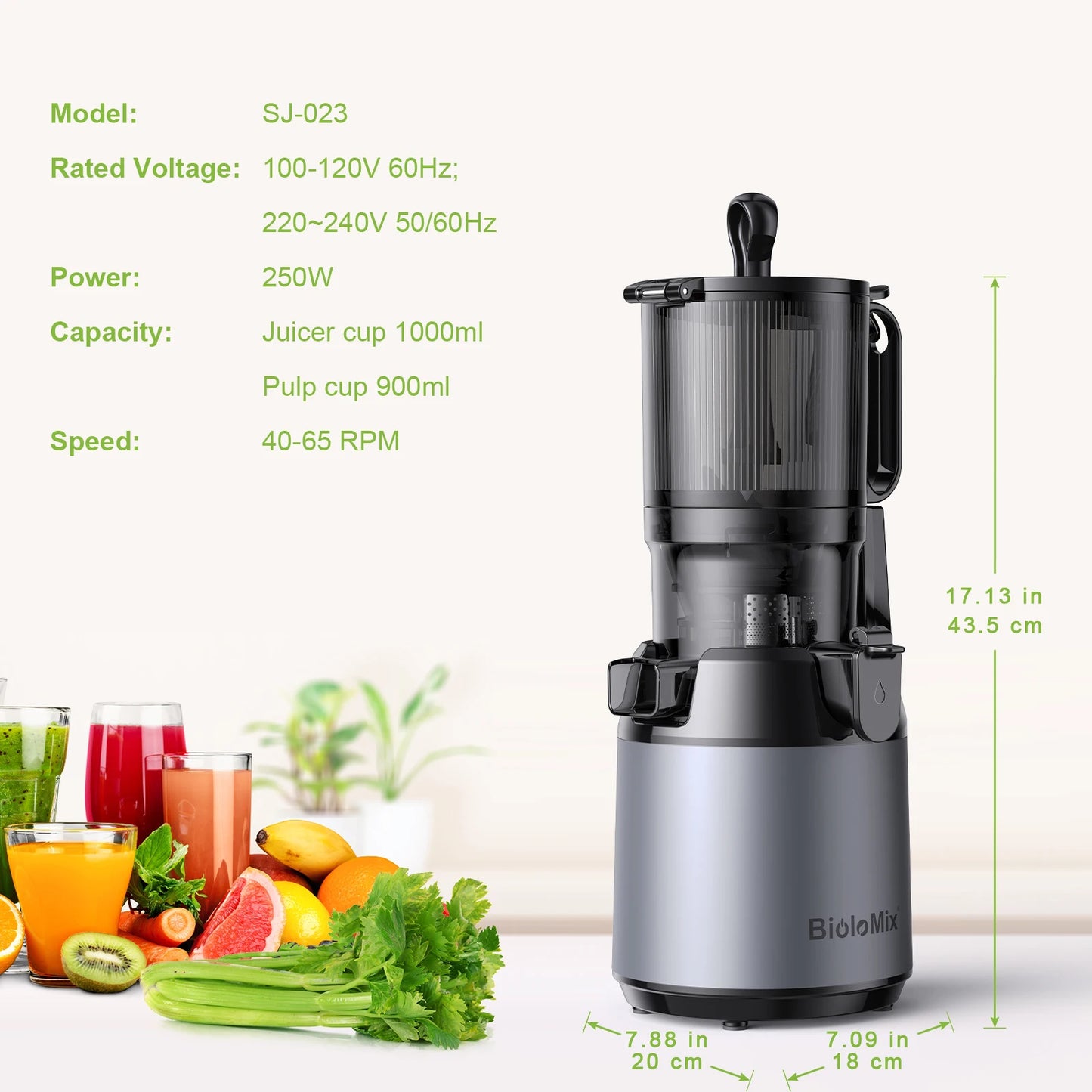 BioloMix Cold Press Juicer 130mm Chute Whole Fruit Vegetable BPA Free Slow Juicer