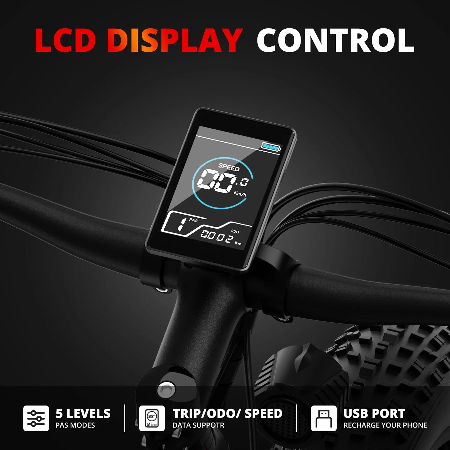 AMYET EB26 1000W Electric Bike with LCD Display and Fat Tires