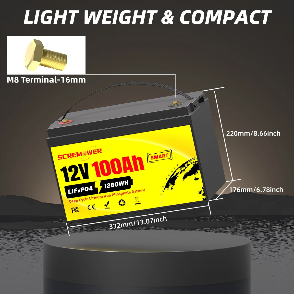 12V 100Ah LiFePO4 Battery Pack with Built-in 100A BMS Rechargeable Lithium Battery for Solar and Boat Use