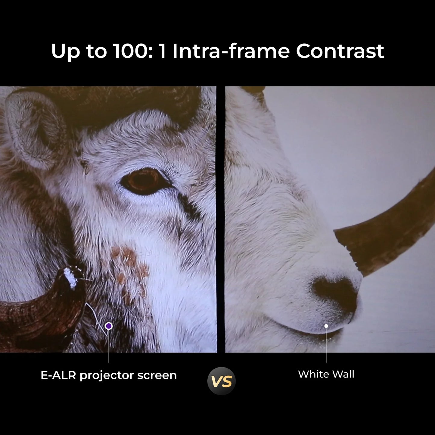 ULTIMEA EALR Projector Screen With Stand 4K HD 2.0 Gain