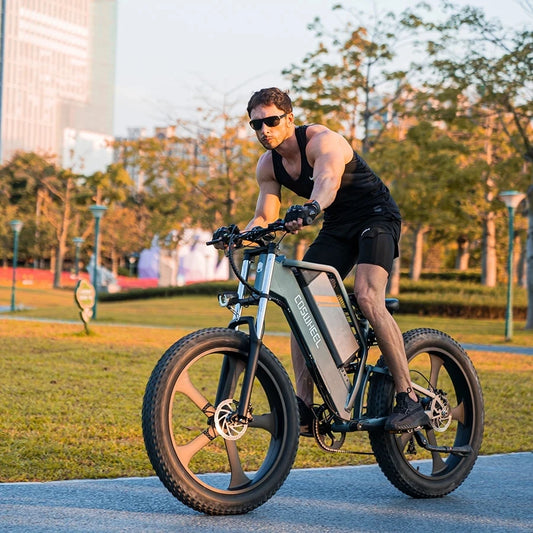 COSWHEEL T26 Electric Bike 1000W 48V 25AH Fat Tire