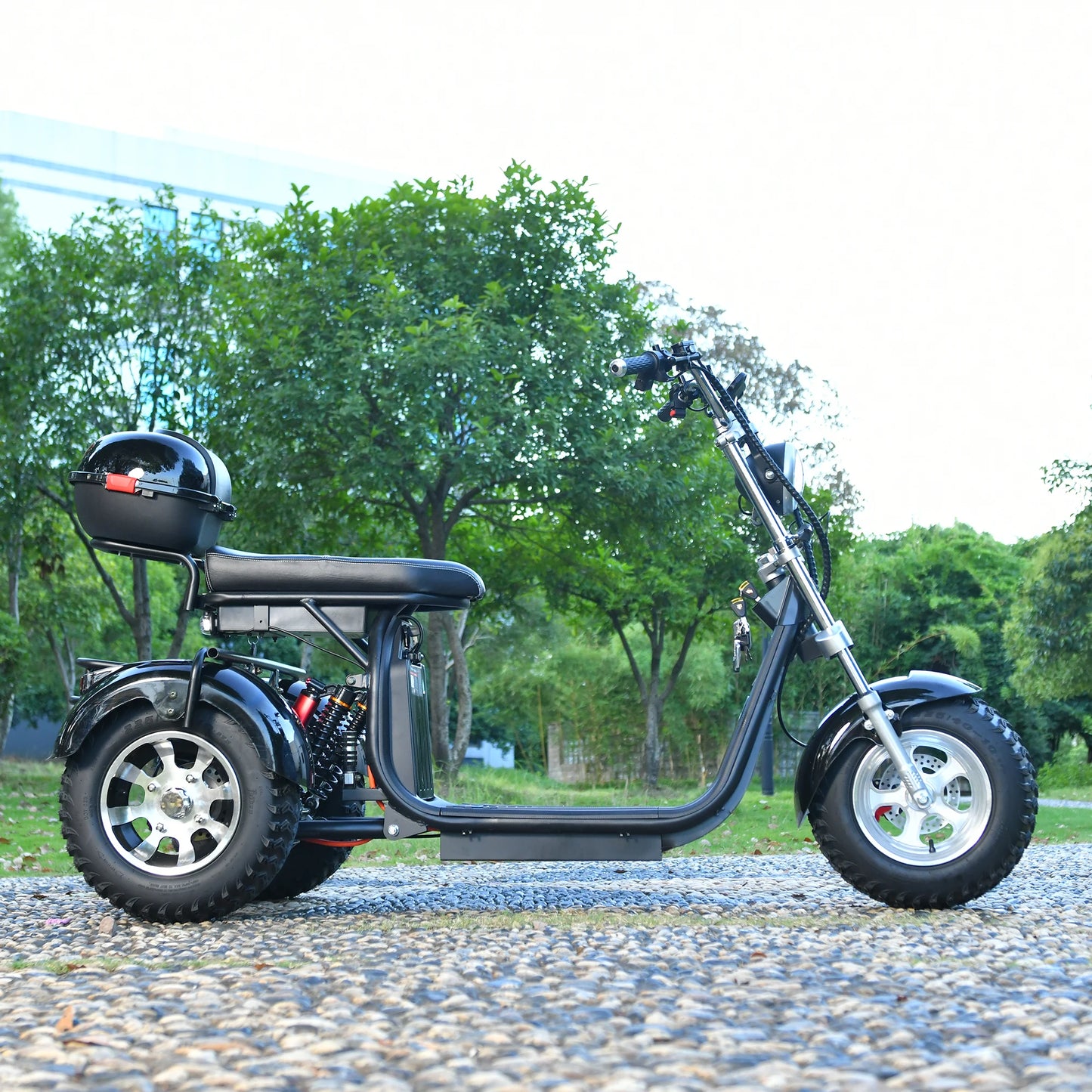 3000W 3 Wheel Electric Trike Off Road Adult Scooter