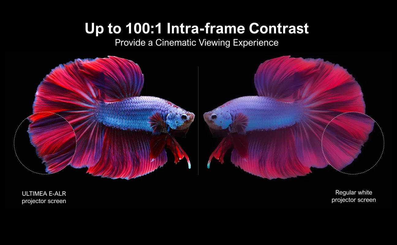 ULTIMEA Photon EALR 4K HD Projection Screen 169 Portable